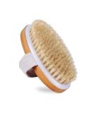 Natural Bristle Dry Brush for Skin Massage and Exfoliation | Lymphatic Drainage and Cellulite Removal | Body Scrubber for Back, Underarms, Legs, and Feet - Buy Online on GoSupps.com