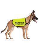 CENWA Reactive Dog Jacket Vest Dog Reactive Dog Training/Reactive Not Aggressive Service Dog Slogan Warning Vest (Reactive Not Aggressive L EU) - Buy Online on GoSupps.com