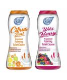 Set of Wild Berry + Citrus Zest Foaming Toilet Cleaner Amazing Fragrance Deep Cleaning Action Powder Cleaning Foam and Extra Freshness Toilet Cleaner (370g) - Buy Online on GoSupps.com