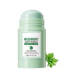 Mugwort Clay Mask Stick - Deep Cleansing Anti-Acne Pore Mask for Excess Oil Control & Skin Balance | Nourish & Calm Your Skin - Buy Online on GoSupps.com