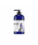 ApotheCARE Essentials Detox Blend Body Wash - Eucalyptus 16 oz | Revitalize & Refresh | International Shipping - Buy Online on GoSupps.com