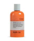 Anthony Facial Scrub   Men s Exfoliating Face Wash with Vitamin C  Aloe  Chamomile and Algae for Deep Cleansing and Detoxifying 8 Fl Oz 8 Fl Oz (Pack of 1) - Buy Online on GoSupps.com