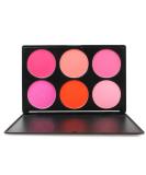 FantasyDay Professional 6 Colors Face Powder Blush Palette - Perfect Makeup Set for Professionals & Personal Use | Shop Now! - Buy Online on GoSupps.com