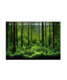 Aquarium Background Decoration PVC Adhesive Underwater Forest Tank Background Poster Double Sides Backdrop Decoration Paper for Aquarium(76 46cm) - Buy Online on GoSupps.com