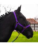 Horse Halter for Warmbloods & Thoroughbreds - Adjustable Stable & Pasture Halter Safe & Tearproof (Purple Whole Blood COB) - Buy Online on GoSupps.com