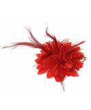 Flower Feaather Bead Corsage Hair Clips Fascinator Hairband and Pin (Red) - Buy Online on GoSupps.com