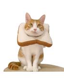 Mayumay Adjustable Cat Collar - Soft Healing Necker Cone for Kittens & Cats | Wound Recovery & Protection - Buy Online on GoSupps.com