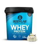 Bodylab24 Whey Protein Powder - Vanilla Pudding Flavor 1kg | Premium Protein for Muscle Growth & Recovery - Buy Online on GoSupps.com