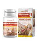 Styptic Powder Safe For Dogs And Cats Blood Stopper Puppy-Home Profession Aids Supplies Traumatic Hemostatic Powder 50ml Blood Stopper-powder Stick Bandage Large For Dogs Nails-compress Pet Wound Pet - Buy Online on GoSupps.com