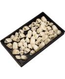 Lzevn 60-Piece Temporary Crown & Fake Front Teeth Repair Kit | Oral Care Solution - Buy Online on GoSupps.com