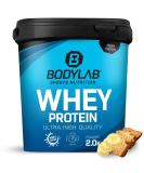 Bodylab24 Whey Protein Powder - Banana Bread Flavor 2kg | Premium Quality Protein Supplement for Muscle Growth & Recovery - Buy Online on GoSupps.com