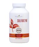 Sulfurzyme by Young Living - 300 Capsules | Optimal Sulfur Support for Health - Buy Online on GoSupps.com