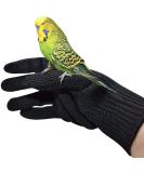 Alfyng Bird Training Anti-Bite Gloves for Small Animals Protective Chewing Gloves for Squirrels Hamsters Parrotlets Cockatiels Finches & Macaws (1 Pair) | Best International Shipping - Buy Online on GoSupps.com