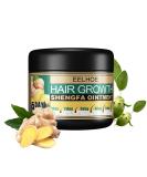 Ginger Hair Growth Ointment - Hair Regrowth Serum for Hair Loss Treatment - Scalp Massage Essence Cream - 30g/1 OZ Sample - Buy Online on GoSupps.com