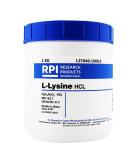 Buy RPI L37040-1000.0 L-Lysine Hydrochloride 1kg - Premium Quality | Fast International Shipping - Buy Online on GoSupps.com