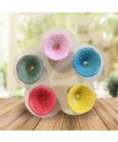Bee Cups for Thirsty Bees Garden - Colorful Bee Insect Drinking Cups Thirsty Pollinators Need a Drink Bees Need Safe Places to Drink! Bee Cups Collect a Teaspoon Of Water (Colorful) - Buy Online on GoSupps.com