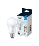 WiZ Connected 60W Daylight Smart WiFi Light Bulb | Dimmable 5000K | Compatible with Alexa & Google Home | No Hub Required | 1 Count - Buy Online on GoSupps.com