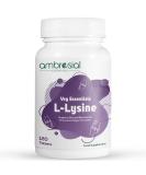 High Strength L-lysine 500mg Tablets | Immune Support & Collagen Synthesis | Essential Amino Acids | 120 Count | International Shipping Available - Buy Online on GoSupps.com