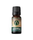 Ecodrop Pure Eucalyptus Essential Oil - 10ml | 100% Natural Therapeutic Grade Globulus Oil - Aromatherapy for Mood, Immunity, Pain Relief - Organic - Buy Online on GoSupps.com