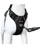Bossdog No Pull Dog Harness & Lead Set | Anti Pull for Small, Medium, Large & Puppy Dogs | Top Handle & Reflective Strips (Large Black) - Buy Online on GoSupps.com