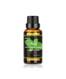 Basil Essential Oil - 100% Natural Aromatherapy Oil for Diffusers Humidifiers Massage Skin & Hair Care | 1.01 fl oz - Buy Online on GoSupps.com
