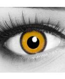 Buy Funnylens Yellow Black Crazy Fun Contact Lenses - Perfect for Carnival | Free Lens Container | 0.0 Diopters - Buy Online on GoSupps.com