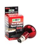 ProRep BC Spot Lamp 60 Watt Red Night - Buy Online on GoSupps.com