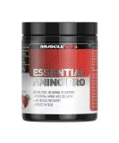 MuscleNh2 Essential Amino Pro Branch Chain Amino Acid Powder BCAA Helps Build Lean Muscle and Speed Up Recovery Red Apple Flavour 450g 30 Servings (Pack of 1) Red Apple 450g - Buy Online on GoSupps.com