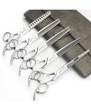 Buy 6/6.5 Inch Professional Hair Scissors & Thinning Shears - Set of 5 for Hairdressing | International Shipping - Buy Online on GoSupps.com