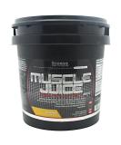 Ultimate Nutrition Muscle Juice Revolution 2600 - Best Banana Protein Weight Gainer for Muscle Recovery with Glutamine & Time Release Carbs - 11.1 lbs - Buy Online on GoSupps.com