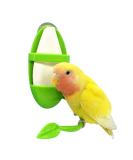 Bird Food Column Fit Container - Hanging Bird Feed Toy & Cage Accessory for Fruits Vegetables & More - Home Bird Supplies (Green) - Buy Online on GoSupps.com