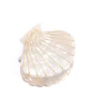 Shell Shape White Marble Hair Clip - Women's Fashion Acrylic Resin Hair Clamp - Buy Online on GoSupps.com