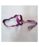 Universal Selected Harness Adjustable Muzzle Dog Halter Leader Belt Dog Collar Head Collar No Pull Bite Straps Training Leash Leader (Color : Purple Size : XL) - Buy Online on GoSupps.com