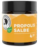 Active Natural Remedies Propolis Ointment 30g | Cream / Ointment is pure high quality & from Germany - Buy Online on GoSupps.com