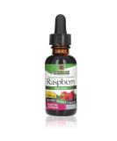 Nature's Answer Organic Raspberry Leaf Extract 1oz | Non-GMO, Kosher & Gluten-Free | Supports Health & Digestion - Buy Online on GoSupps.com