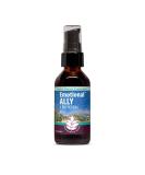 WishGarden Herbs Emotional Ally - All-Natural Fast-Acting Liquid Herbal Supplement with Passionflower Scullcap St Johns Wort & Motherwort Supports Emotional Grounding A Big Herbal Hug 2oz 2 Fl Oz (Pack of 1) - Buy Online on GoSupps.com