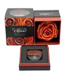 GEM.IN.EYE Cosmetics Blush & Bloom Love Edition Fierce 3D Silk Rose Blush on Powder - Buy Online on GoSupps.com