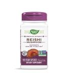 Nature's Way Reishi Mushroom Capsules - Immune Support & Adaptogenic Formula | Non-GMO Project Verified - 100 Count - Buy Online on GoSupps.com