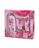 Buy Biofresh Rose of Bulgaria Gift Set - Shower Gel Soap & Hand Cream with Natural Rose Water | International Shipping Available - Buy Online on GoSupps.com