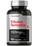 Horb ach Tribulus Terrestris 1000mg | 180 Capsules | Non-GMO & Gluten Free Supplement for Men & Women - Boost Energy & Performance - Buy Online on GoSupps.com