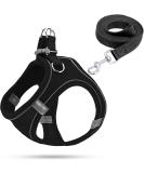 XXS Black Dog Harness for Small Dogs with Leash & Puppy Tableware - Stylish Cat & Dog Dishes - Buy Online on GoSupps.com