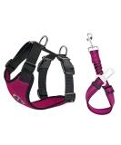 Slowton Dog Harness & Seat Belt - Breathable Latex Puppy Harness for Safe Car Travel & Everyday Sports | Size L in Fuchsie - Buy Online on GoSupps.com