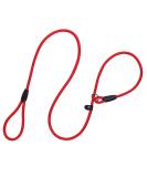 1Pc Nylon Dog Training Rope Slip Lead Dog Leash Durable Dog Traction Rope Durable Dog Traction Rope Suitable for Small Medium Dogs (Red) - Buy Online on GoSupps.com