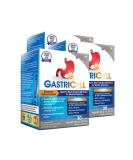 GASTRICELL - Natural Defense Against Gastric Distress | Eliminate H. Pylori, Acid Reflux & Heartburn | Regulate Gastric Acid | 30s x3 - Buy Online on GoSupps.com