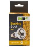 ProRep Basking Spotlight 60 W 1 1 Count (Pack of 1) - Buy Online on GoSupps.com