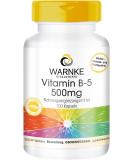 Vitamin B5 500 mg - 100 capsules pantothenic acid high dose vegan | Warnke Vitalstoffe - German pharmacy quality - Buy Online on GoSupps.com