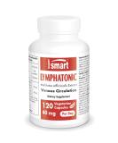 Supersmart Lymphatonic 40mg | Lymphatic Drainage & Swelling Support Supplement - Melilotus Officinalis 18% Coumarin - 120 Vegetarian Capsules - Buy Online on GoSupps.com