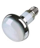 Trixie Basking Spot Lamp 150W - 95x130mm | Ideal Heat Source for Reptiles - Buy Online on GoSupps.com