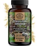 Cordyceps capsules -1400mg per daily dose - important: 10: 1 extract ( 14000mg cordyceps per dose) +40% bioactive polysaccharides I 180 cordyceps capsules (CS4 extract) -De- Scheunengut  - Buy Online on GoSupps.com