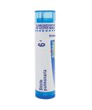 Boiron Sticta Pulmonaria 6C MD - 80 Pellets for Nasal Congestion & Sinus Pain Relief | Fast International Shipping - Buy Online on GoSupps.com